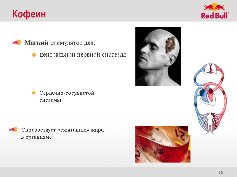 13 Кофеин Мягкий стимулятор для:  центральной нервной системы Сердечно-сосудистой системы   Способствует